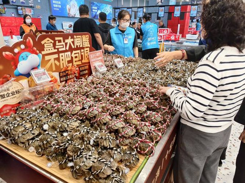 强森商贸在行业中的崛起